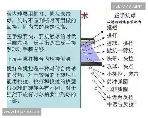 乒乓球的魅力揭秘:深入南京乒乓球队的技术与训练之道 乒乓球的魅力揭秘:深入南京乒乓球队的技术与训练之道